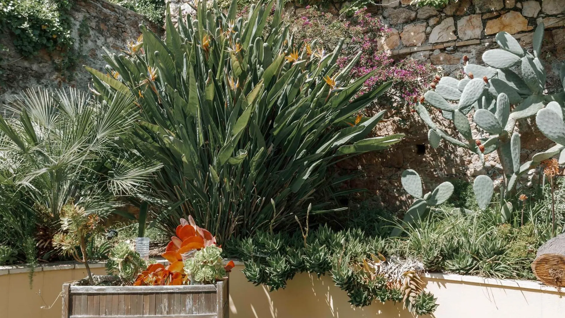 Villa Cynthia - Piscine - Plage Cannes France